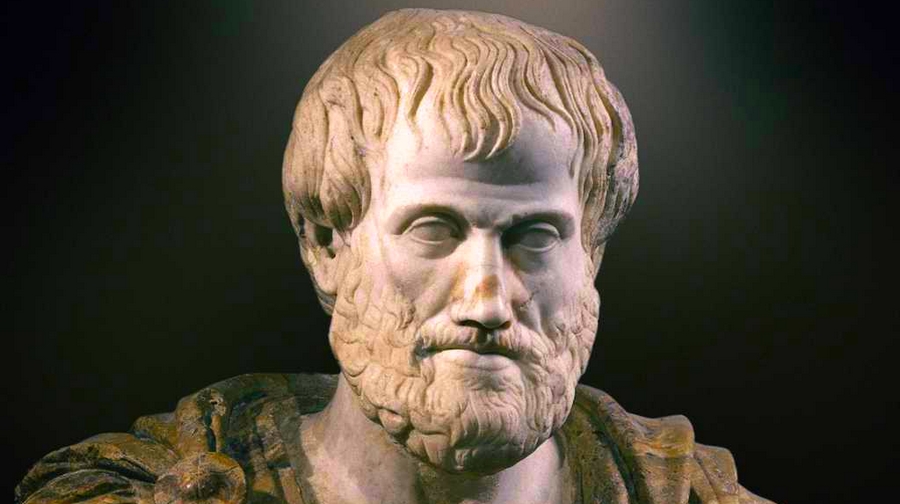 Aristoteles dilin, düşünceler kadar arzunun, öfkenin, sevincin, hüznün, kısacası ruhtaki her tür etkilenimin dışavurulmasının aracı olduğunu düşünür.